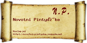 Novotni Pintyőke névjegykártya